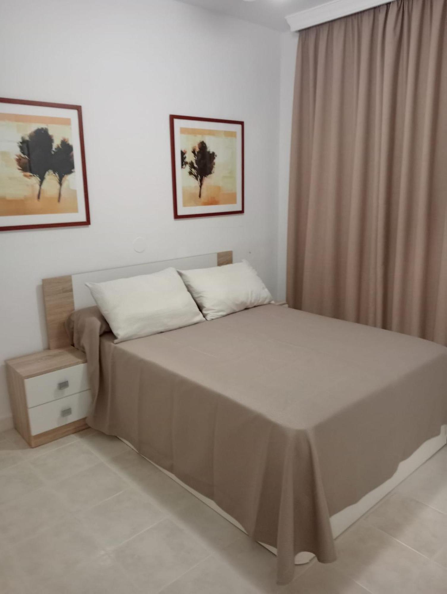 Apartament Oasis Benal *